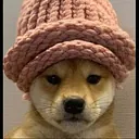 dogwifhat logo